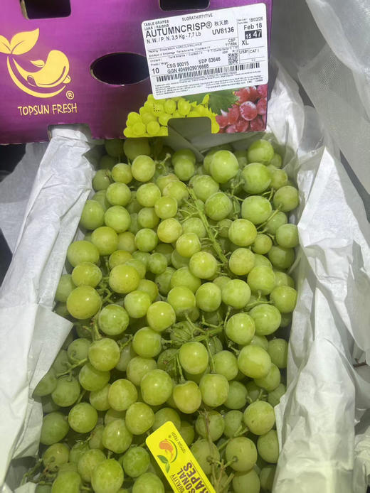 进口秋天脆青提 甜脆多汁 葡萄 商品图4