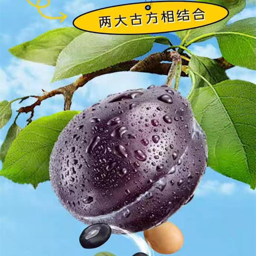 儿童版乌梅三豆膏 宝宝儿童酸梅汤黄豆绿豆黑豆山楂乌梅膏 商品图2