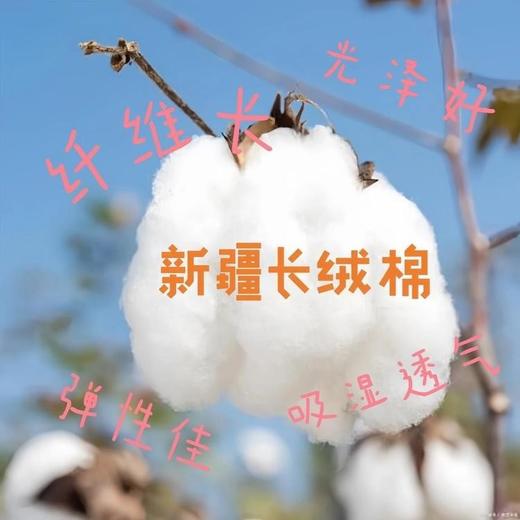 二店f 3.8福利！花里家精油堆堆袜(4双) 商品图8