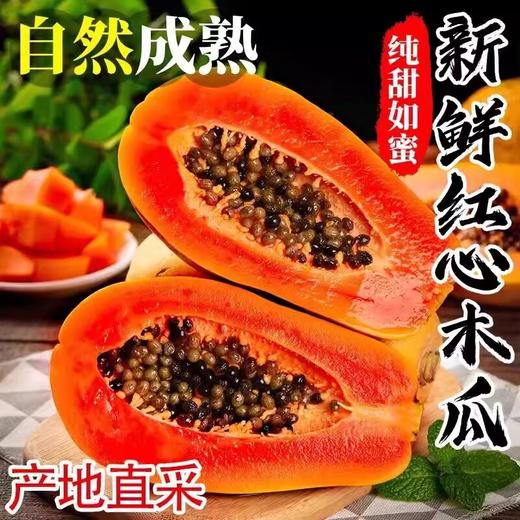 【福利❗️19.9抢5斤🔥新鲜红心木瓜】汁多可口 个大肉厚 香甜软糯 入口即化，超好吃！广西水果整箱当季青木瓜牛奶冰糖心非雷州 商品图0