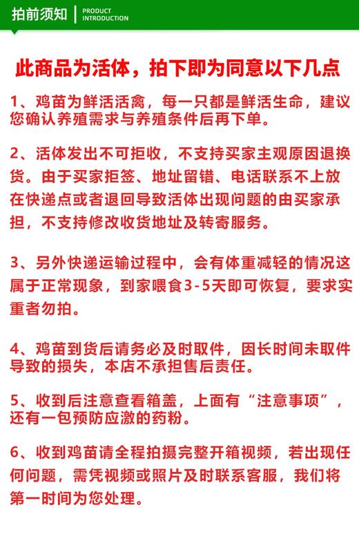 百里坡旧院黑鸡苗（55天）疫苗做了9次 商品图7