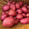 云南高原红皮土豆 | 19.9秒杀5斤！优质碳水！减脂必备！只选精品果 人工现挖现发！ 商品缩略图9