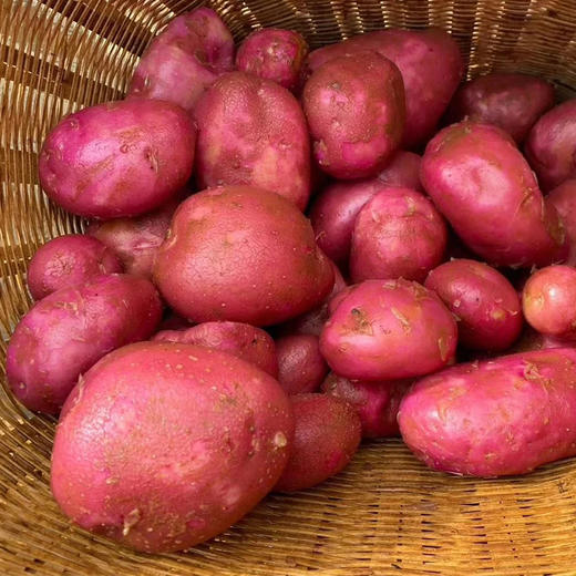 云南高原红皮土豆 | 19.9秒杀5斤！优质碳水！减脂必备！只选精品果 人工现挖现发！ 商品图9