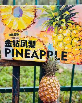 海南金钻甜心凤梨  |海南·树上熟金钻凤梨—凤梨届的天花板；连续多年熊猫指南三星上榜基地，连续六年爆款归来一口爆汁，甜度超过瘾😍味蕾的“甜蜜加油站”汁浓！肉嫩！味甜！