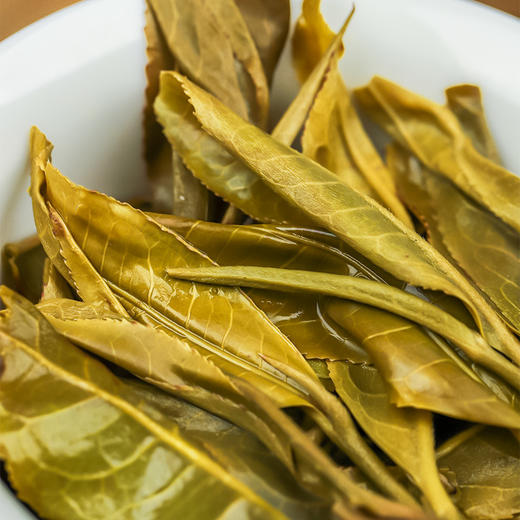 【不足20提】3月4日中午12点【千家寨整提购】2023年云南普洱茶普洱茶区生茶茶饼每提5饼357克茶饼高额补贴 商品图5