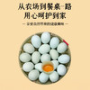 “每颗鸡蛋低至0.99元”九华山 富硒土鸡蛋/散养绿壳乌鸡蛋 营养美味 产地直采 顺丰发货 商品缩略图9