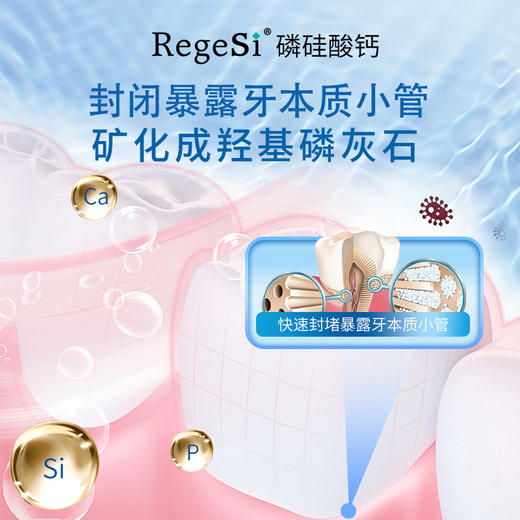 【呵护牙龈】锐杰斯 护龈固齿牙膏 60g*3支 强健牙齿 商品图2