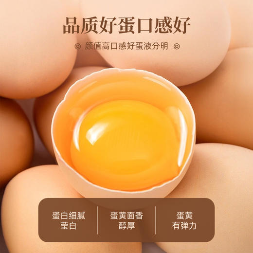 “每颗鸡蛋低至0.99元”九华山 富硒土鸡蛋/散养绿壳乌鸡蛋 营养美味 产地直采 顺丰发货 商品图14