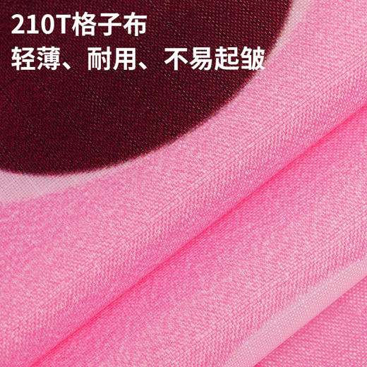 【新 2026户外品合集】TOI图益 风筝飞盘 趣味躲避球 儿童男孩女孩户外玩具5-6-7-8 商品图12