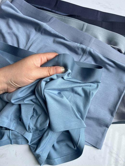 二店y 【发三条】纯元，曼//芬 兰精莫代尔 男士平角裤 商品图9