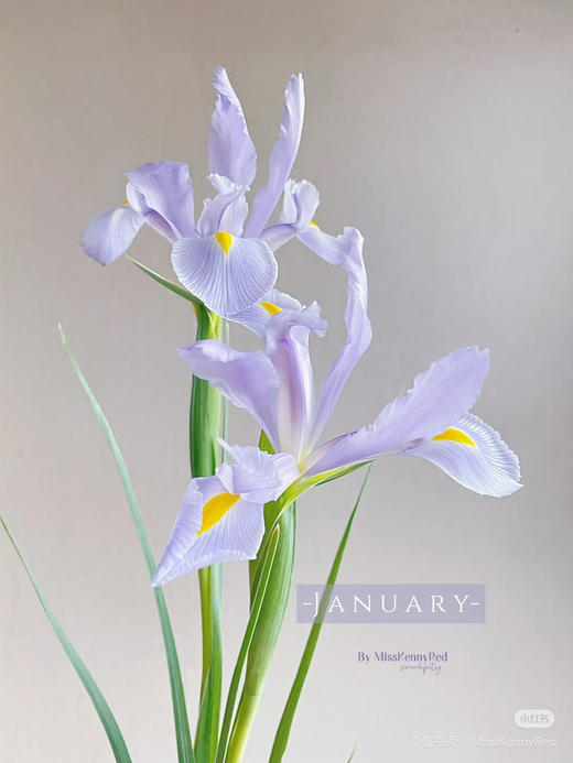 国产花材-【鸢尾】淡紫色 商品图1