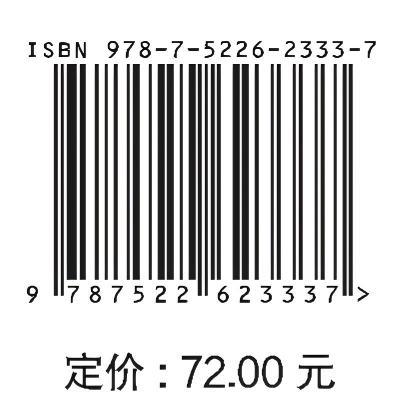 水沙运动及沙纹演变数值模拟技术 商品图4