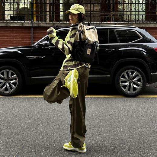 NIKE耐克Dunk SB板鞋（新色系） 缓震气垫四季百搭 男女同款运动鞋 商品图4