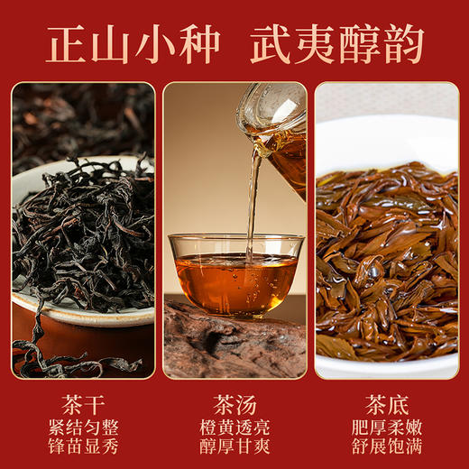【佳韵小罐-正山小种】去寻正山小种红茶特级浓香型散装茶叶新茶高山口粮茶30g 商品图2
