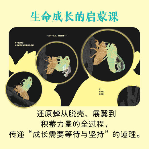 要是晚上去看蝉 百班千人75期二年级小学生课外阅读名师推荐2年级大阅小森开卷生花 商品图1