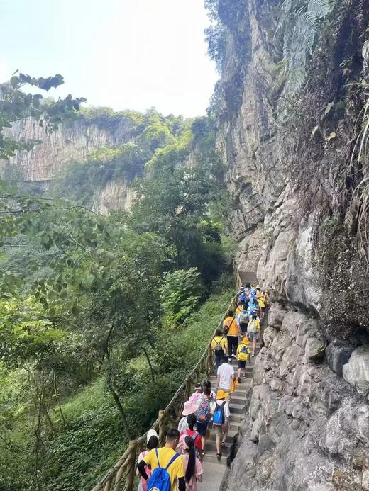 春假专场4.1-4.3【川南春日奇遇3天2晚独立营】自贡方特+兴文石海+李庄古镇，解锁川南春日奇遇 商品图3