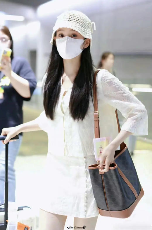 Celine 老花 中号 水桶包 商品图1