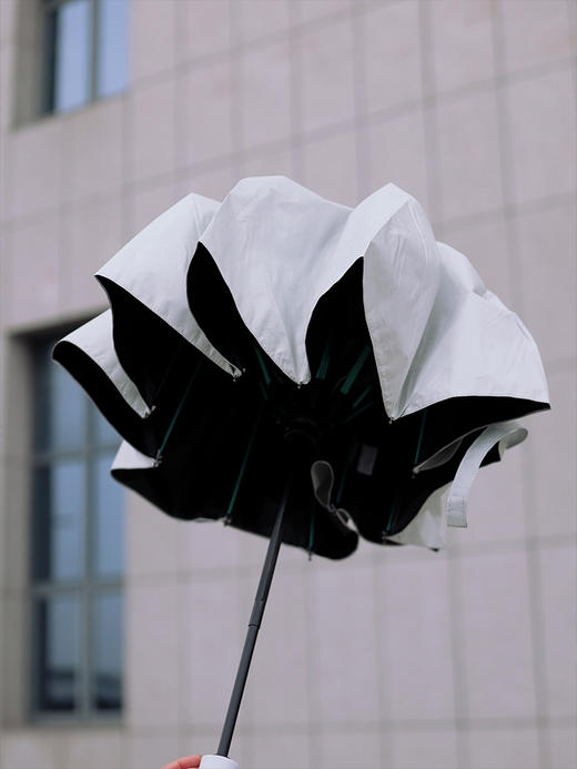 【雨季出行的底气  抗风抗雨坚固耐用】mamoru葵晴雨两用伞  全自动一键开合  黑胶防晒   加粗伞骨升级加倍抗风 商品图6