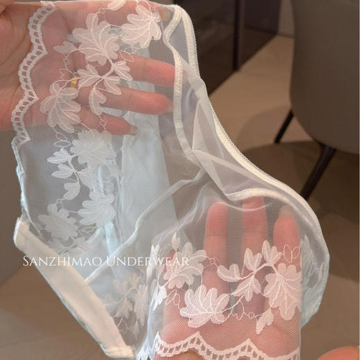 【立体花卉刺绣❗️轻奢蕾丝网纱内裤】精选轻薄网纱面料，半透设计若隐若现，透气网纱材质，轻薄如翼，吸湿排汗，即使夏日穿着也清爽不闷，给肌肤自由呼吸的空间，镂空低腰三角内裤女透气全棉裆丝缎L 商品图2