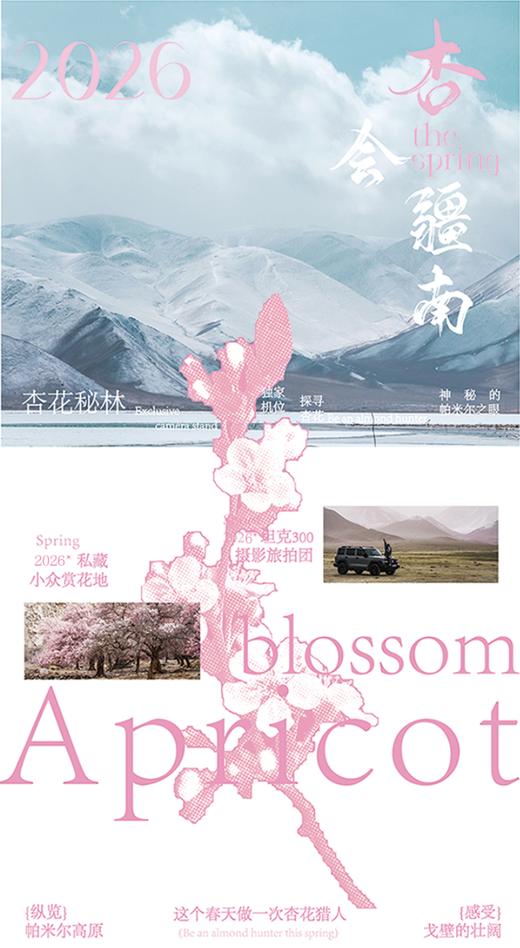 【新疆】杏会疆南 7天6晚 商品图0