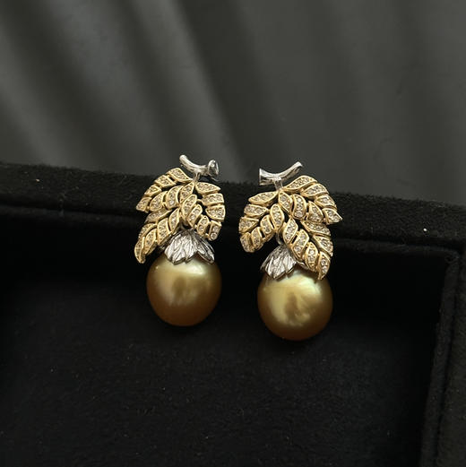 南洋金珠耳环 商品图0