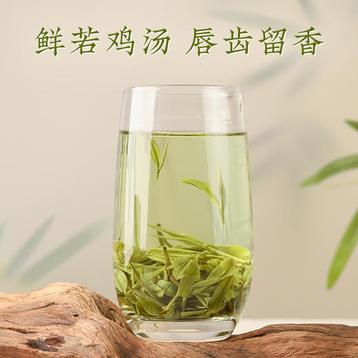 【佳韵小罐-珍稀白茶】去寻珍稀白茶口粮茶特级自饮实惠装30g 商品图4