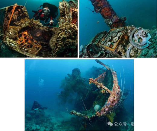 【限时优惠-帕劳潜水】上海潜水展帕劳潜水+酒店 商品图5