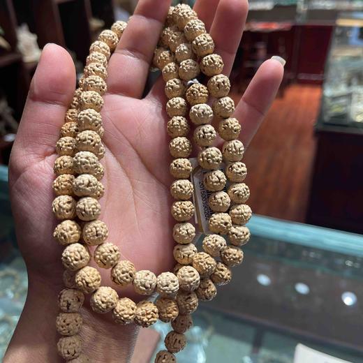 4800元/串6瓣老籽金刚菩提 商品图1