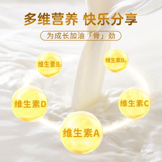 荷兰乳牛学生营养奶粉 400g袋装（16*25g）25年9-12月产 商品图9