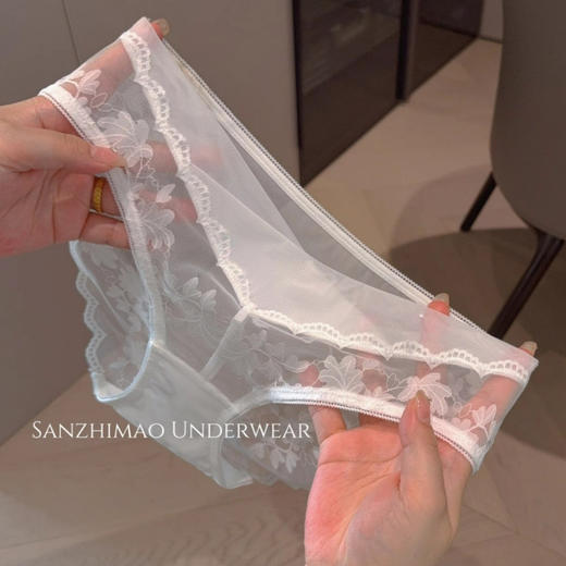 【立体花卉刺绣❗️轻奢蕾丝网纱内裤】精选轻薄网纱面料，半透设计若隐若现，透气网纱材质，轻薄如翼，吸湿排汗，即使夏日穿着也清爽不闷，给肌肤自由呼吸的空间，镂空低腰三角内裤女透气全棉裆丝缎L 商品图1