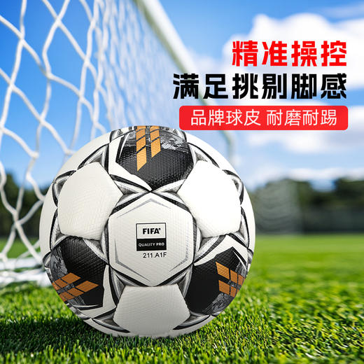 小李子SELECTSUPER FIFA PRO手缝5号专业比赛足球成人男S900 PRO 商品图1