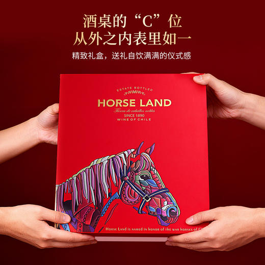 2026 马年必爆！【马地庄园红酒双支礼盒】马地庄园 经典卡曼尼红葡萄酒 智利原瓶进口 中央山谷13.5%vol 商品图6