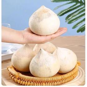 【产地直销】海南椰皇 清甜不腻 香味浓郁2-6个-GP