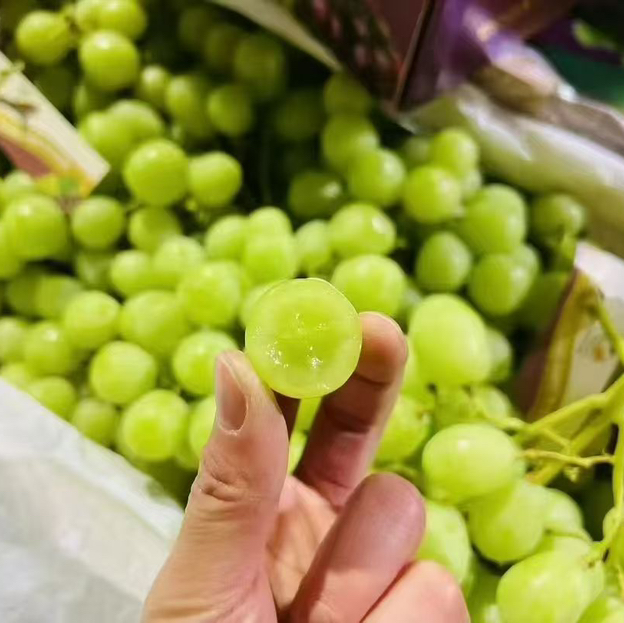 ＃同城最佳，如果顺丰外地会有几颗掉粒介意慎拍＃超脆甜！澳洲甜地球，无籽，果子硬朗，皮薄爆汁儿，水冲冲一颗接一颗，好爽，孩子超爱。