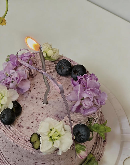 蓝莓精灵 商品图2