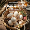“每颗鸡蛋低至0.99元”九华山 富硒土鸡蛋/散养绿壳乌鸡蛋 营养美味 产地直采 顺丰发货 商品缩略图10