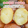云南高原红皮土豆 | 19.9秒杀5斤！优质碳水！减脂必备！只选精品果 人工现挖现发！ 商品缩略图5
