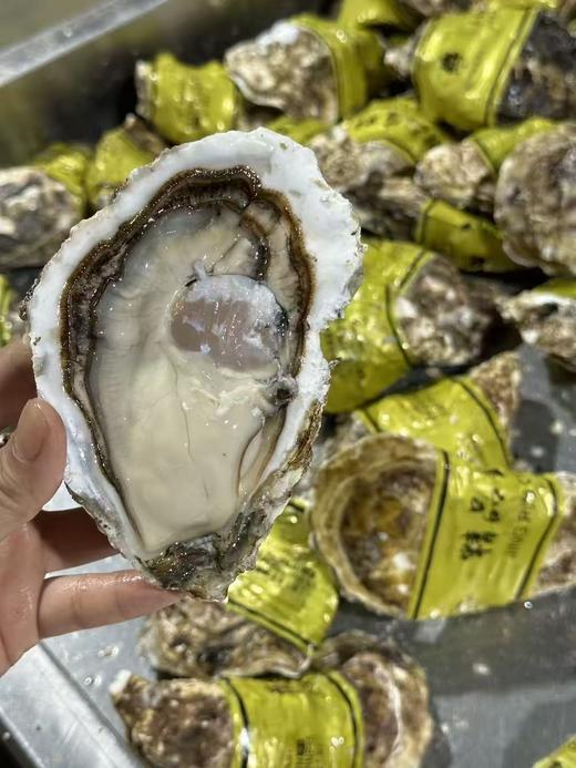 周五取货：【乳山大生蚝】一箱2斤左右，个大饱满，肉质肥美。 商品图1