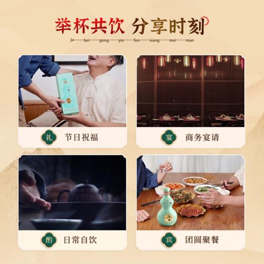 【山西杏花村出品】杏花村酒-百年汾杏-纯粮高度口粮酒  汾杏珍藏V20  清香型白酒  53°% 商品图10