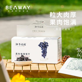 北纬纯净食品|38°新疆黑玫瑰葡萄干黑加仑大圆粒原味小袋装零食250g