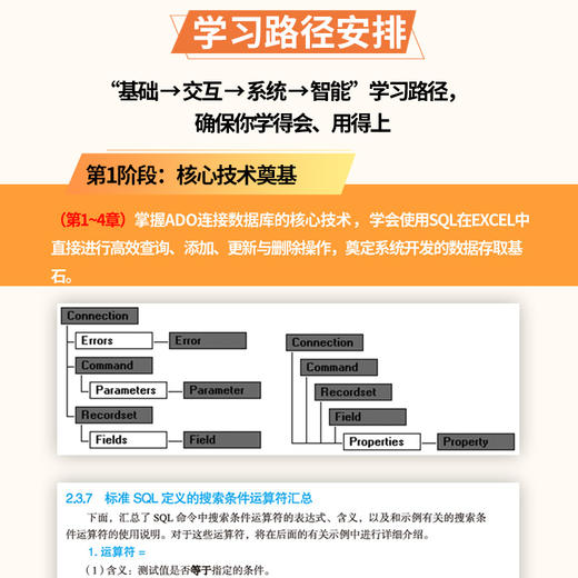 数据分析高级应用：Excel VBA+SQL 数据管理与数据分析系统开发实战 商品图8