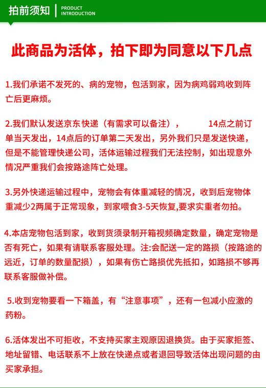 百里坡旧院黑鸡青年鸡（2.5-3斤左右） 商品图5