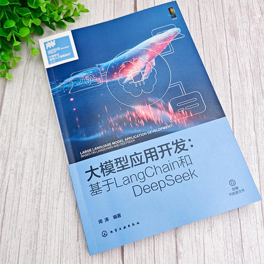 大模型应用开发 : 基于LangChain和DeepSeek 商品图2