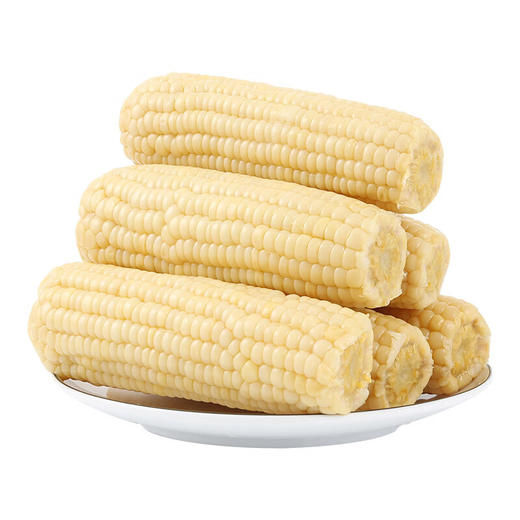 河北 香甜白糯玉米 300g*8/箱 商品图0