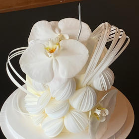 LITTLE WITCH蝴蝶兰糯米纸艺 加高款约6英寸 15厘米