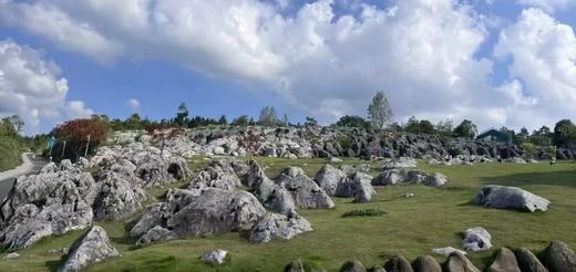 春假专场4.1-4.3【川南春日奇遇3天2晚独立营】自贡方特+兴文石海+李庄古镇，解锁川南春日奇遇 商品图2