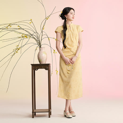 三彩【陌上初柳】2026春季新款新中式连衣裙收腰开叉长裙C 商品图3