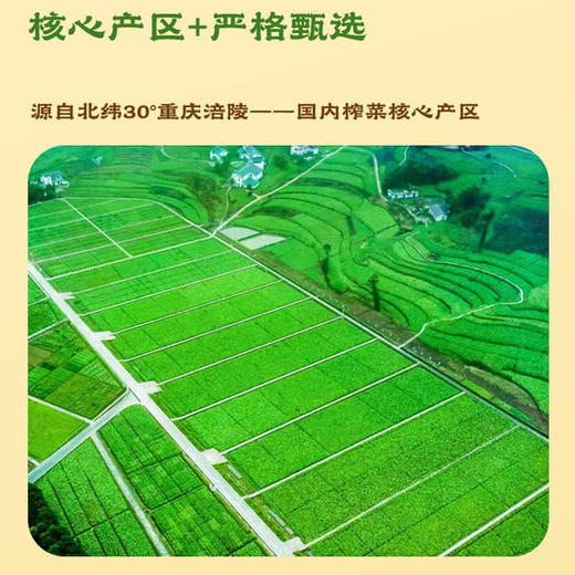 （减盐版） 乌江涪陵 榨菜条 68g 下饭菜 商品图3