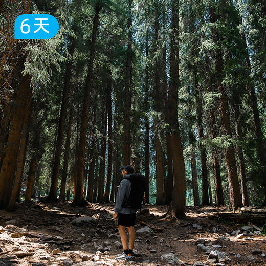 夏季限定｜独家升级线路 新疆最美摄影线 喀拉峻C线6日 商品图6