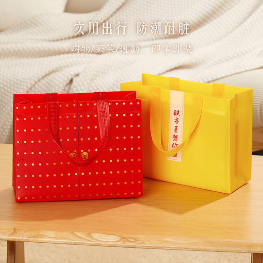 【故宫包袋】故宫专用无纺布手提袋环保袋纪念品礼品袋 商品图4